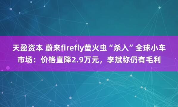 天盈资本 蔚来firefly萤火虫“杀入”全球小车市场:价格直降2.9万元,李斌称仍有毛利