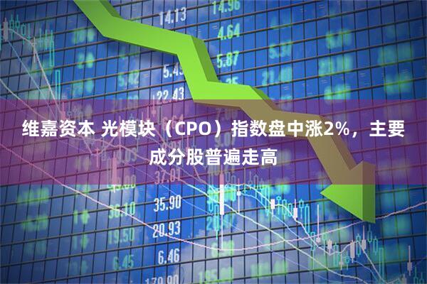 维嘉资本 光模块（CPO）指数盘中涨2%，主要成分股普遍走高