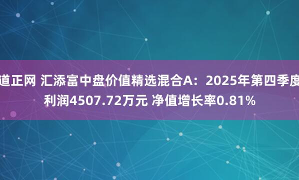 道正网 汇添富中盘价值精选混合A：2025年第四季度利润4507.72万元 净值增长率0.81%