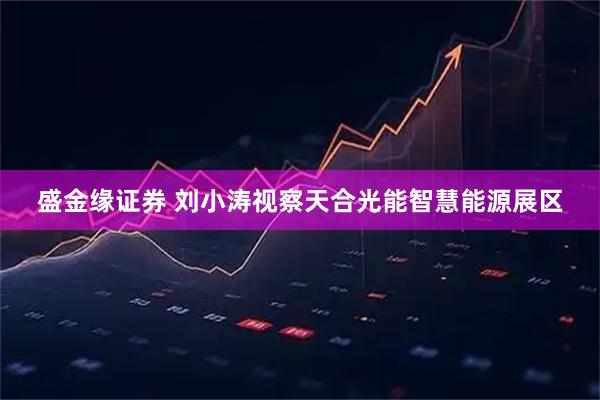盛金缘证券 刘小涛视察天合光能智慧能源展区